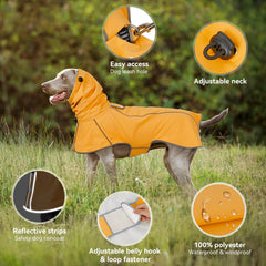 Capucha ajustable de Ezierfy protege cabeza del perro.