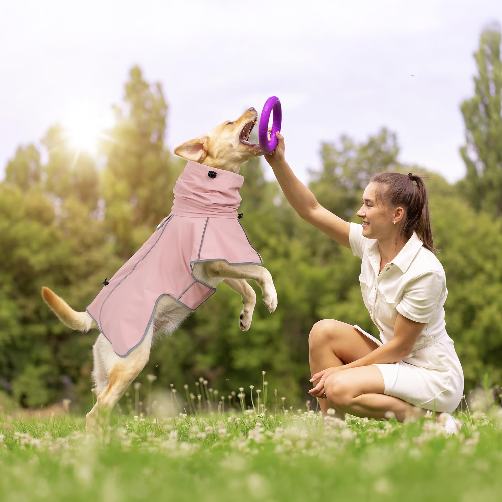 Diseño de tallas ajustables Ezierfy para perros pequeños a grandes