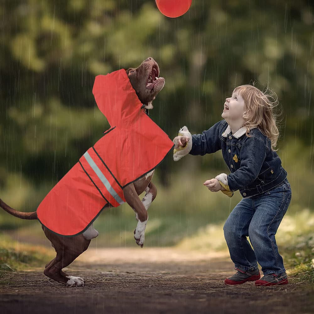 Ezierfy chaqueta impermeable ligera, se pliega para guardar en coche o bolso.
