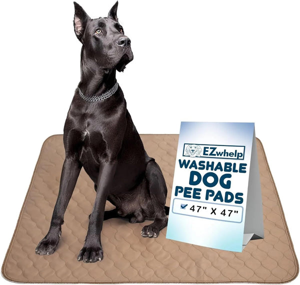 EZwhelp almohadilla lavable para perros; superficie absorbente para entrenamiento diario