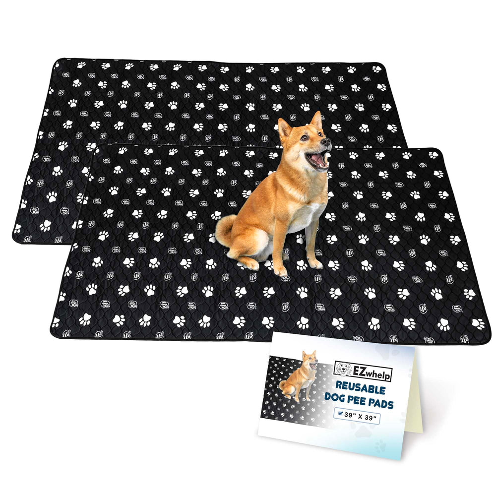 EZwhelp almohadilla reutilizable para perros, vista frontal, protege su suelo durante el entrenamiento