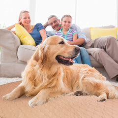 EZwhelp tapete pipí perro-base impermeable protege suelos y muebles