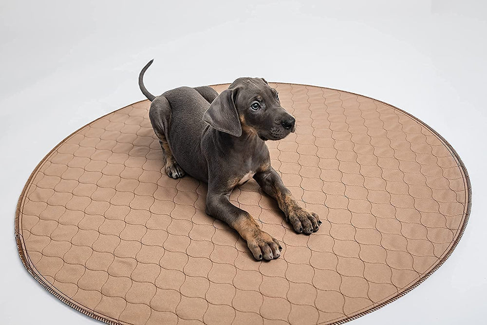 EZwhelp tapete pipí perro-caja de cría práctica para cuidados posparto