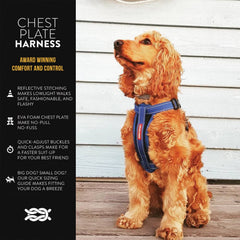Arnés EzyDog con ajuste ergonómico para mayor comodidad durante paseos y entrenamiento.