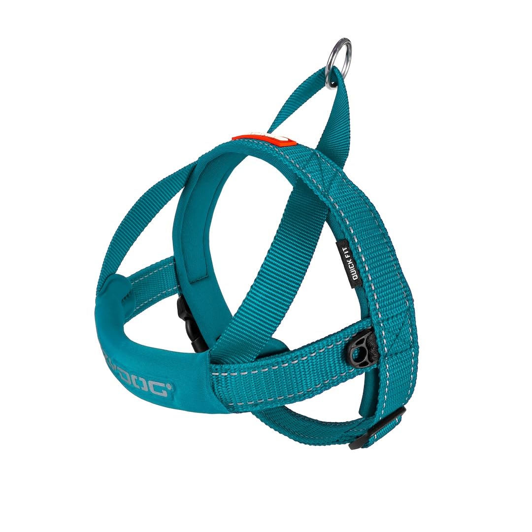 Arnés EzyDog Ajuste Rápido para perros: color turquesa, ajuste cómodo y seguridad.