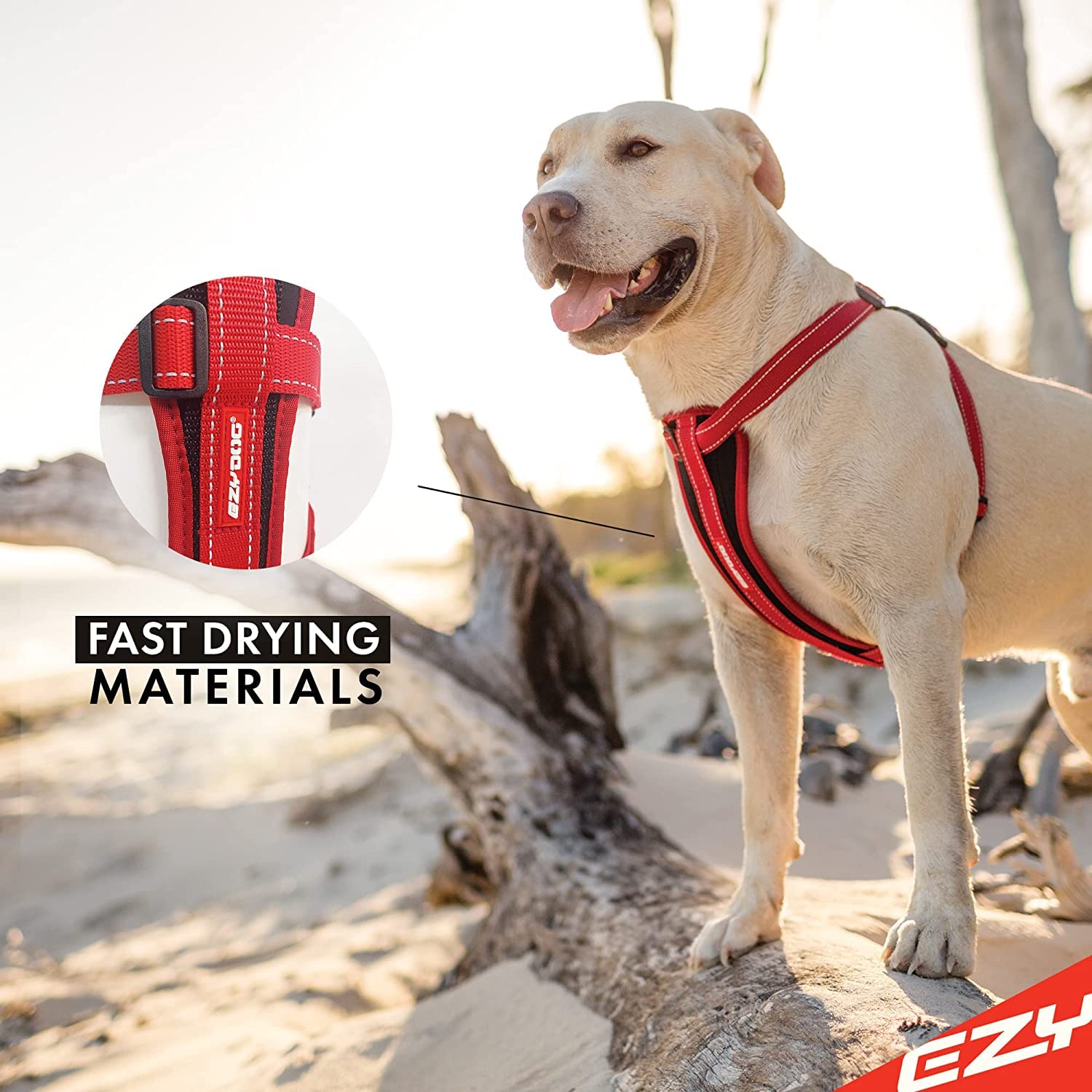 Arnés EzyDog con costuras reflectivas para mayor visibilidad nocturna