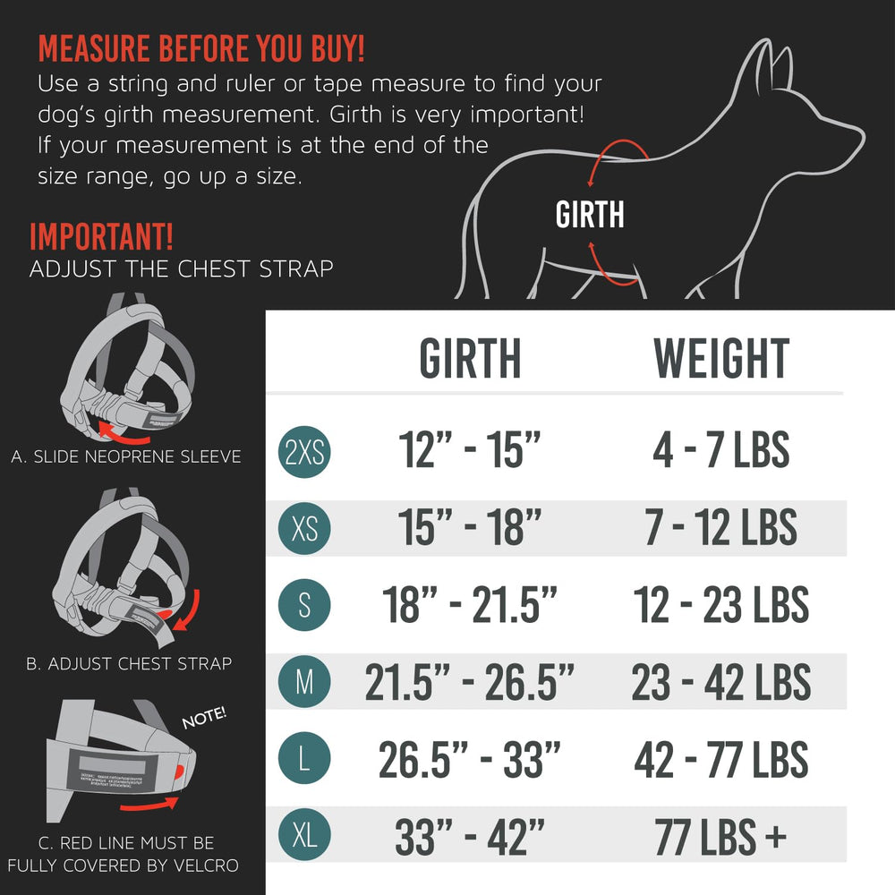 Arnés EzyDog con costuras reflectivas para mayor visibilidad nocturna.