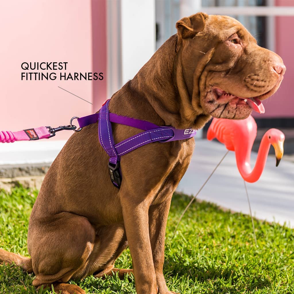 Arnés EzyDog, espacio de identificación y compatibilidad con accesorios de coche.
