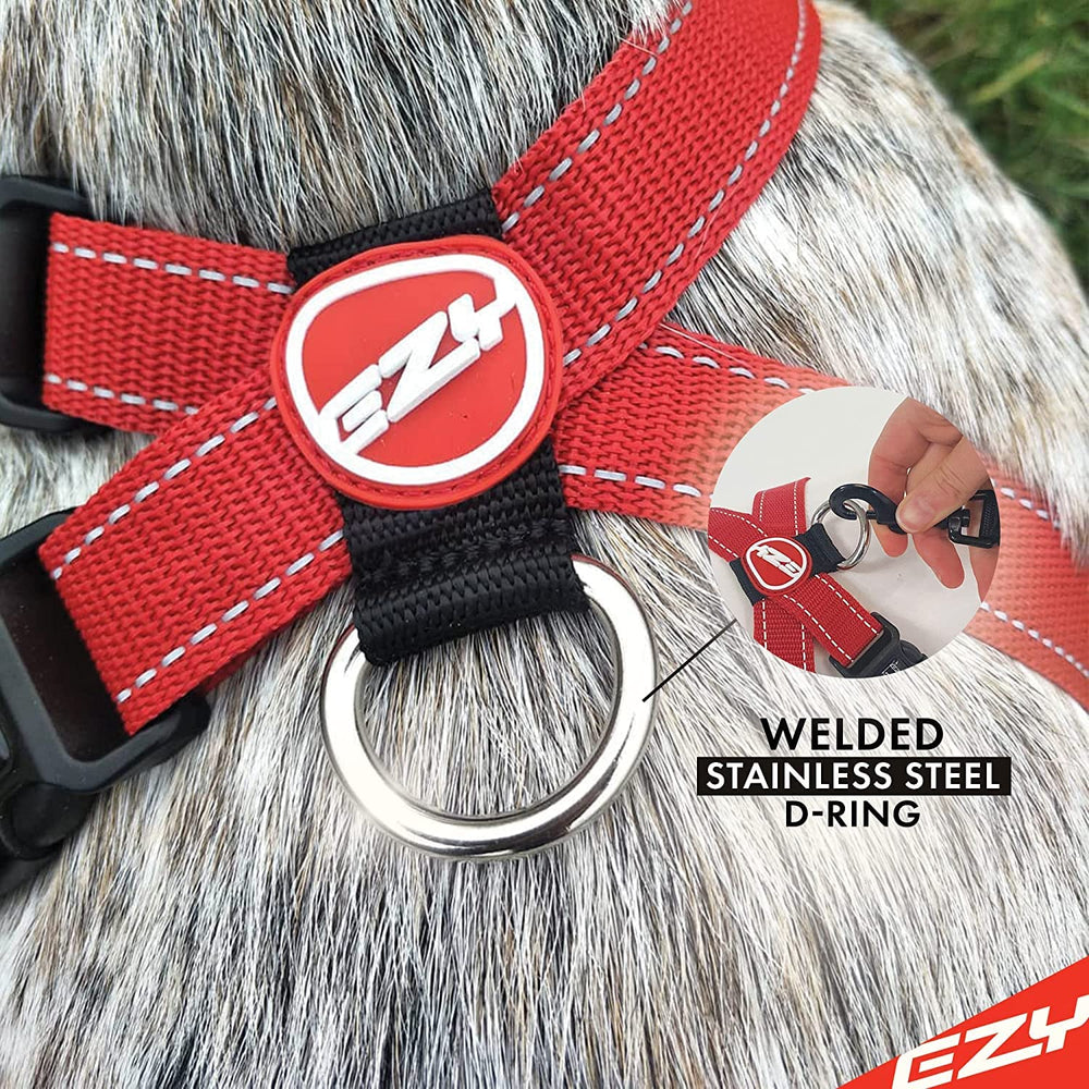 Arnés EzyDog de secado rápido, ideal para días de paseo que se mojan.