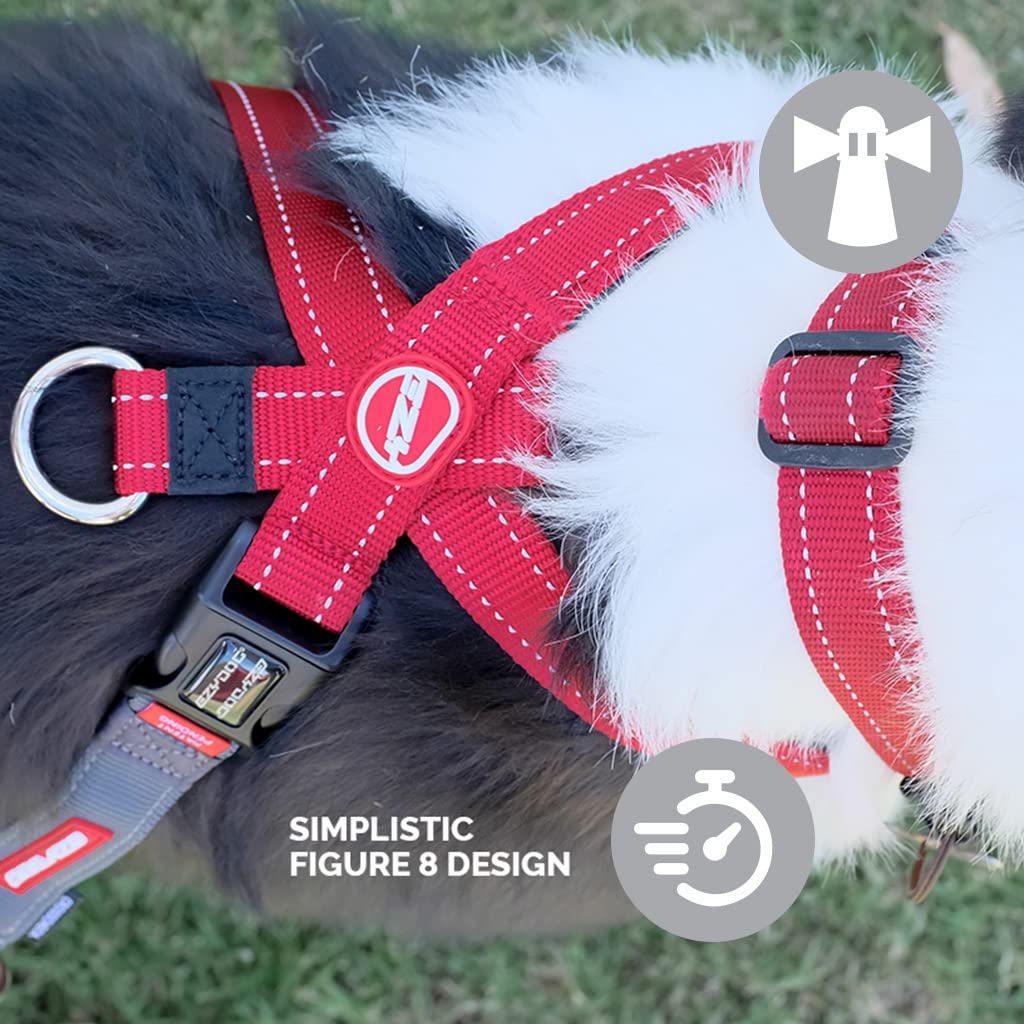 EzyDog Crosscheck: correas de nylon premium ofrecen durabilidad y ajuste estable