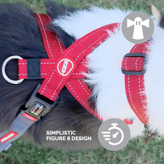 EzyDog Crosscheck: correas de nylon premium ofrecen durabilidad y ajuste estable