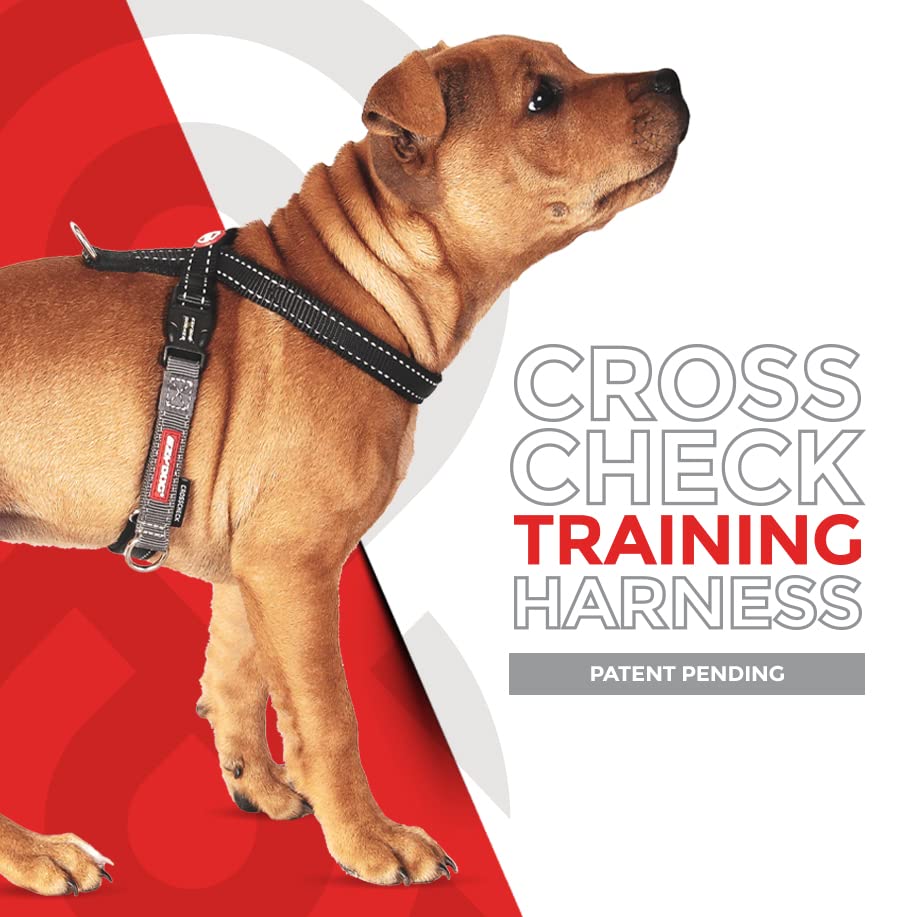 EzyDog Crosscheck: dos anillos en D para opciones de entrenamiento
