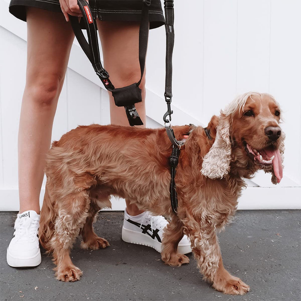 EzyDog Crosscheck: uso diario y entrenamiento al aire libre con seguridad