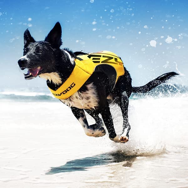 EzyDog DFD X2 cierres rápidos simplifican ajustar y quitar