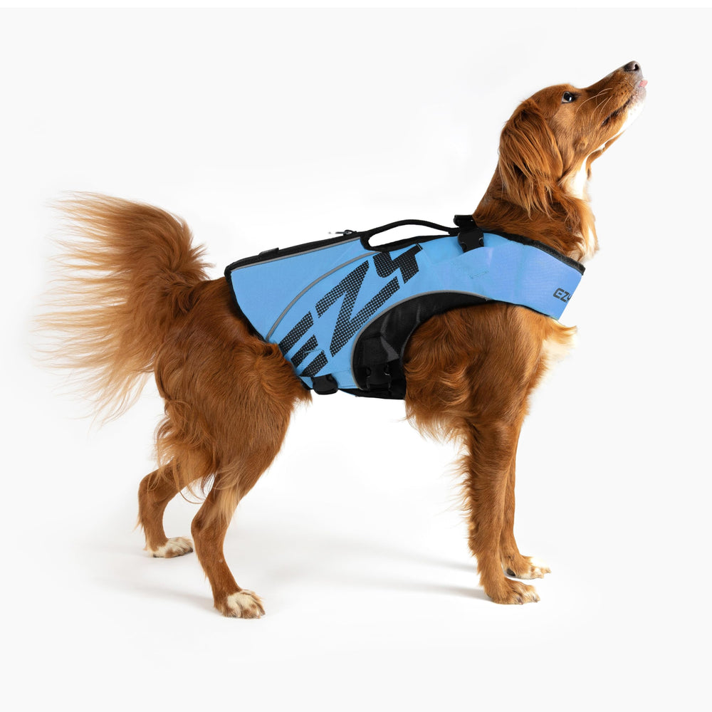 Paneles de flotación EzyDog DFD X2 mejoran la seguridad en aguas tranquilas.