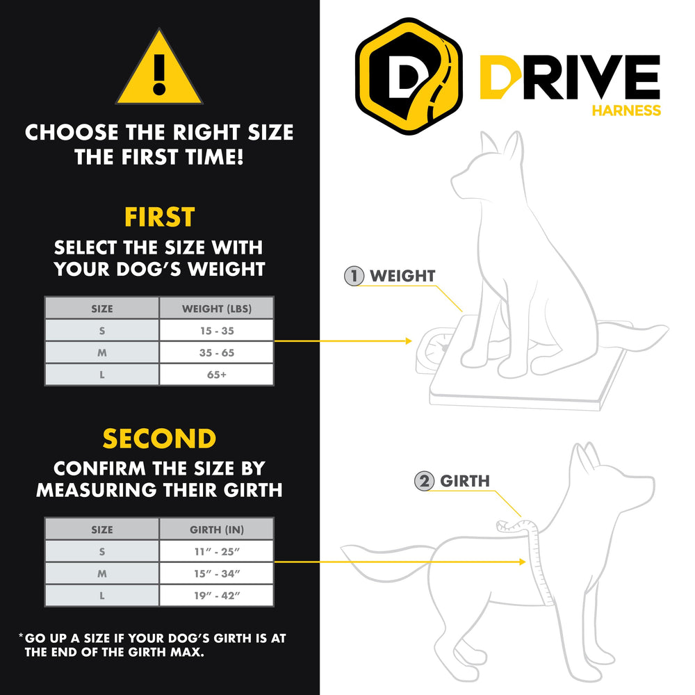EzyDog Drive con cinturón universal para instalación simple en coche.