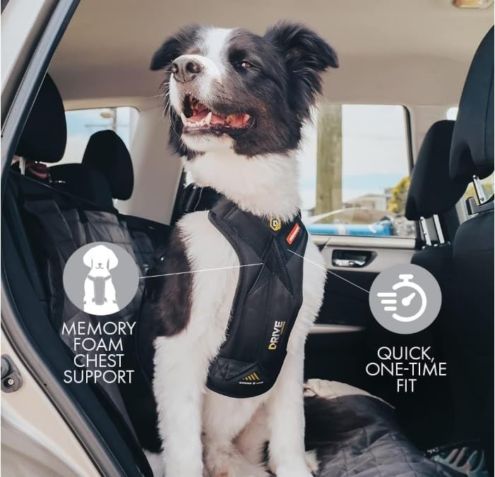 EzyDog Drive, pecho almohadilla en primer plano, confort prolongado.