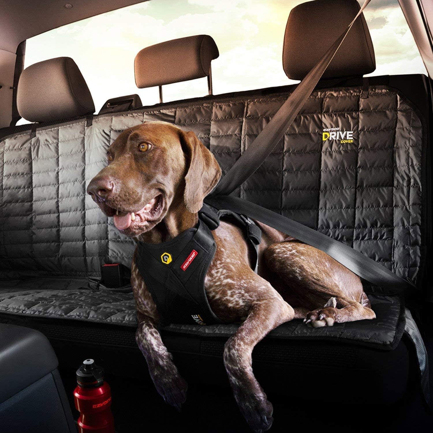 Materiales duraderos y tecnología Crosslink en EzyDog Drive.