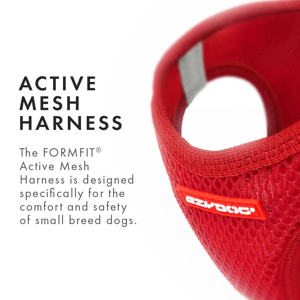 EzyDog FORMFIT: anillo D de acero inoxidable para durabilidad.
