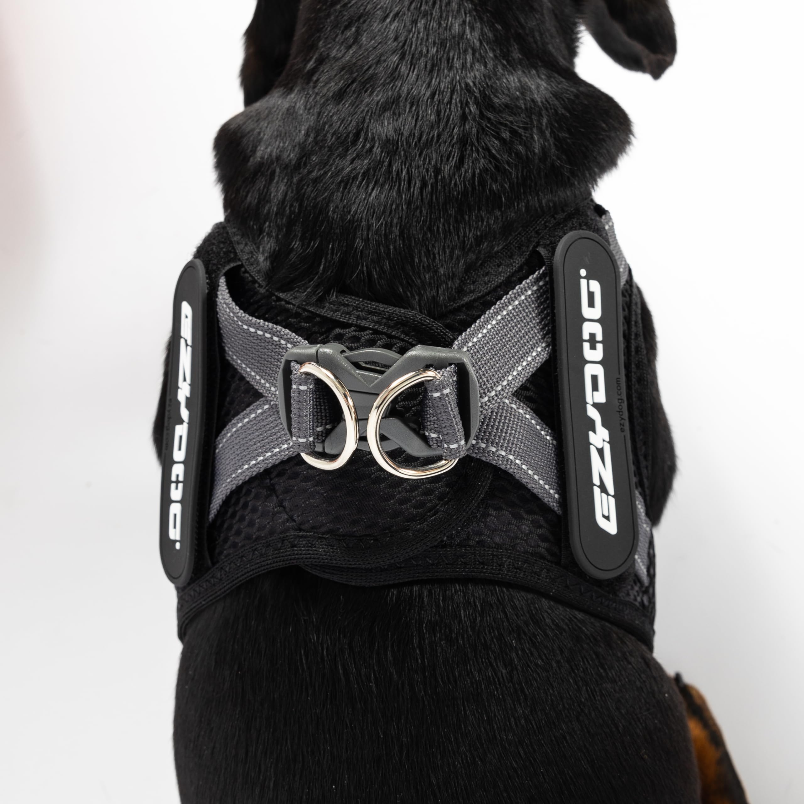 EzyDog FORMFIT: diseño ligero para paseos diarios.