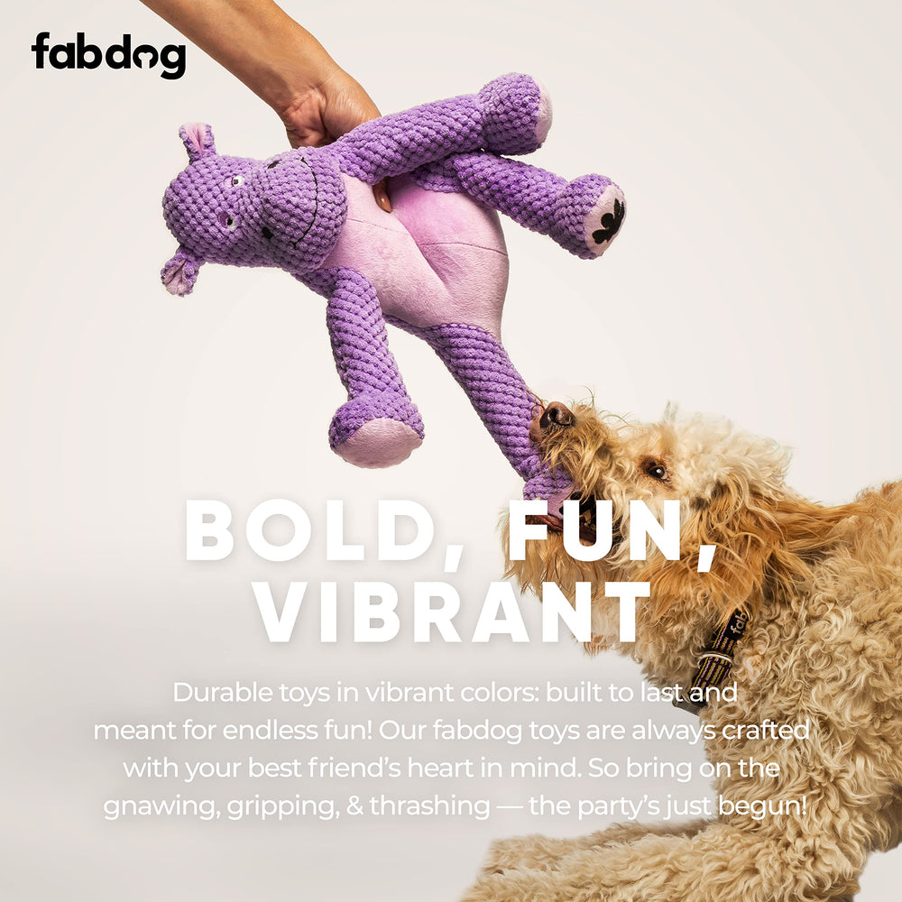 fabdog Floppies koala peluche, suave y duradero para mordisqueos