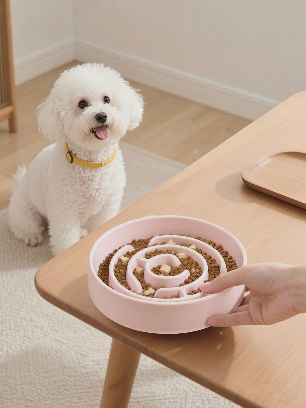 Facdiary comedero cerámico rosado apto para perros y gatos, hábitos de alimentación