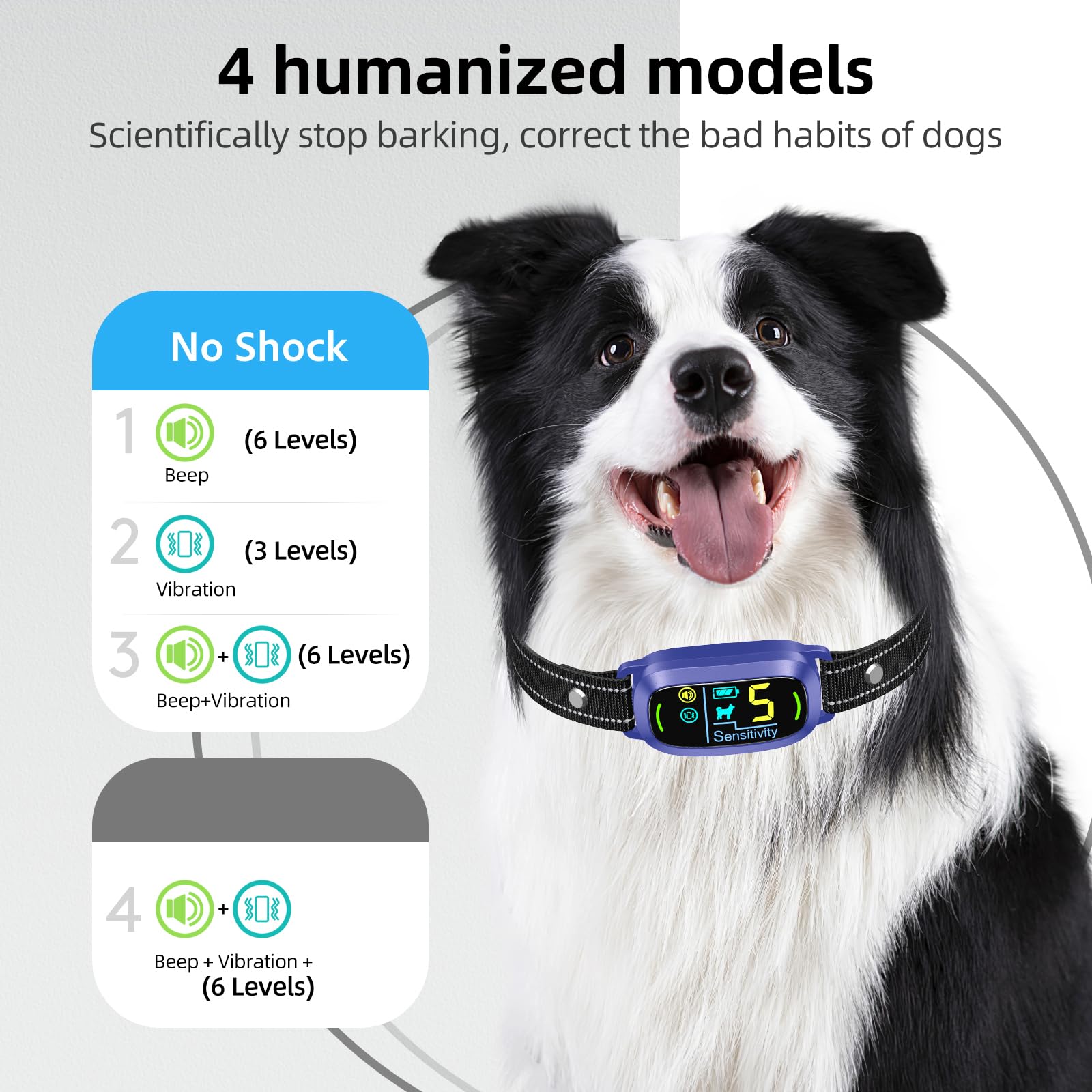 FAFAFROG collar carga rápida: ayuda a sesiones más eficientes.