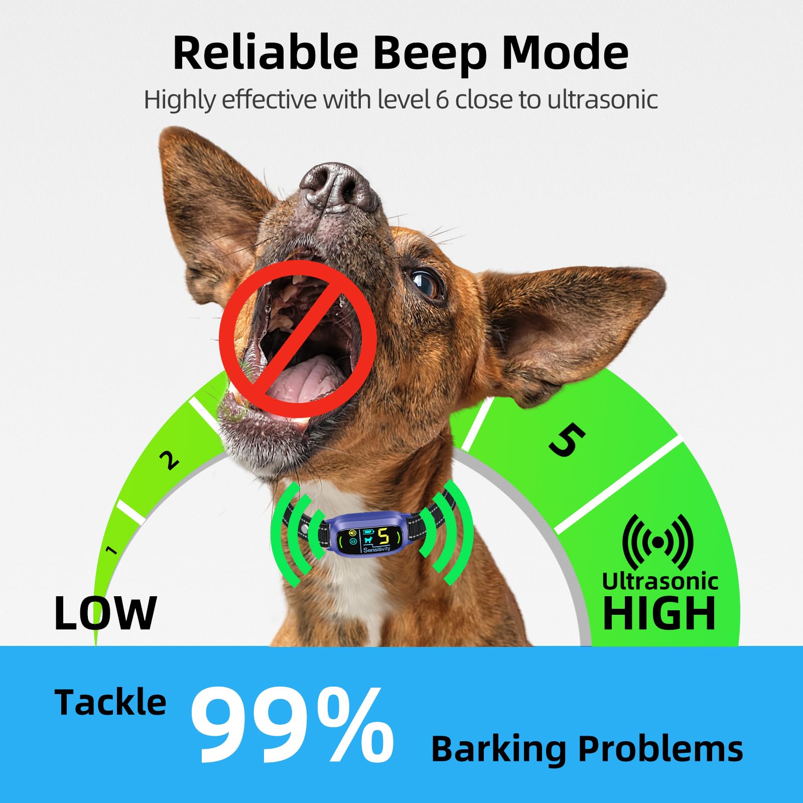 FAFAFROG collar impermeable IP67: entrenamientos al aire libre sin importar el clima.