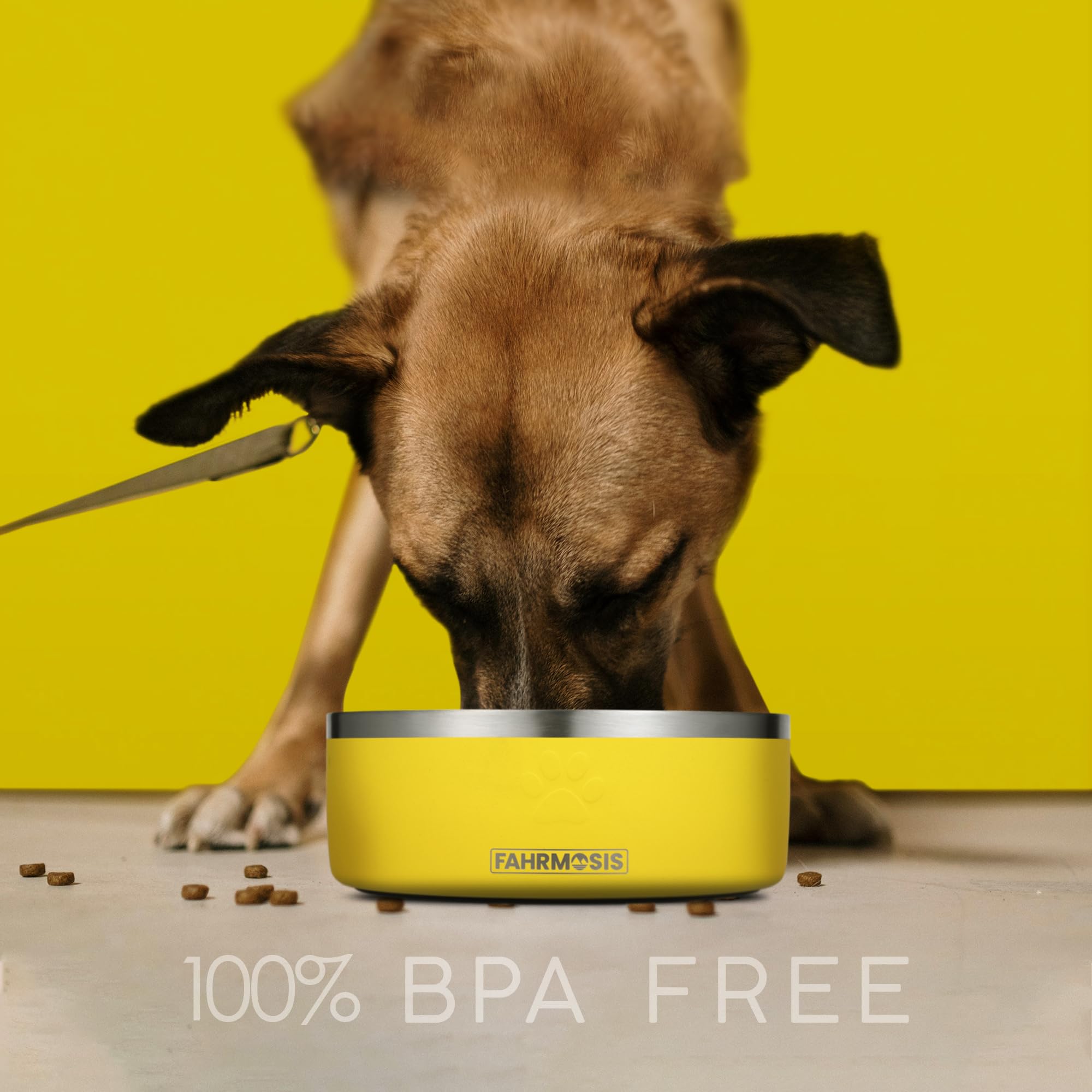 FAHRMOSIS tazón sin BPA garantiza seguridad al comer y beber.