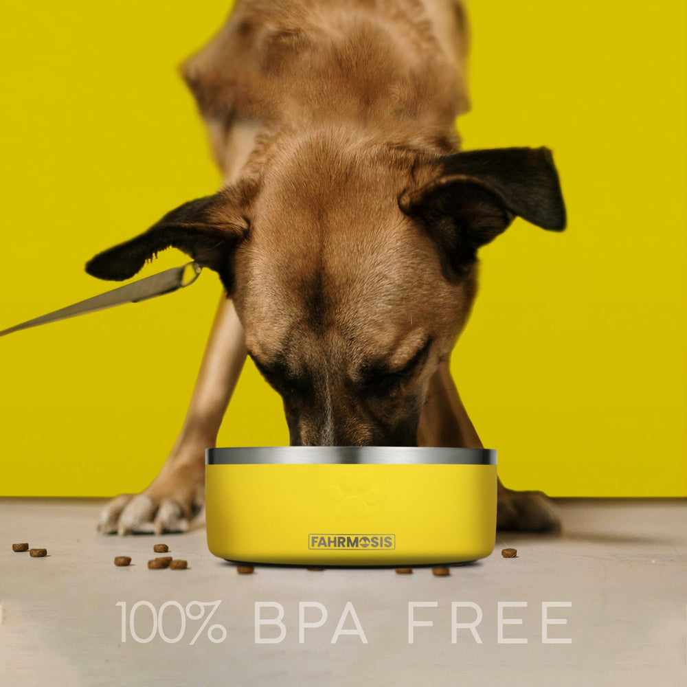 FAHRMOSIS tazón sin BPA garantiza seguridad al comer y beber.