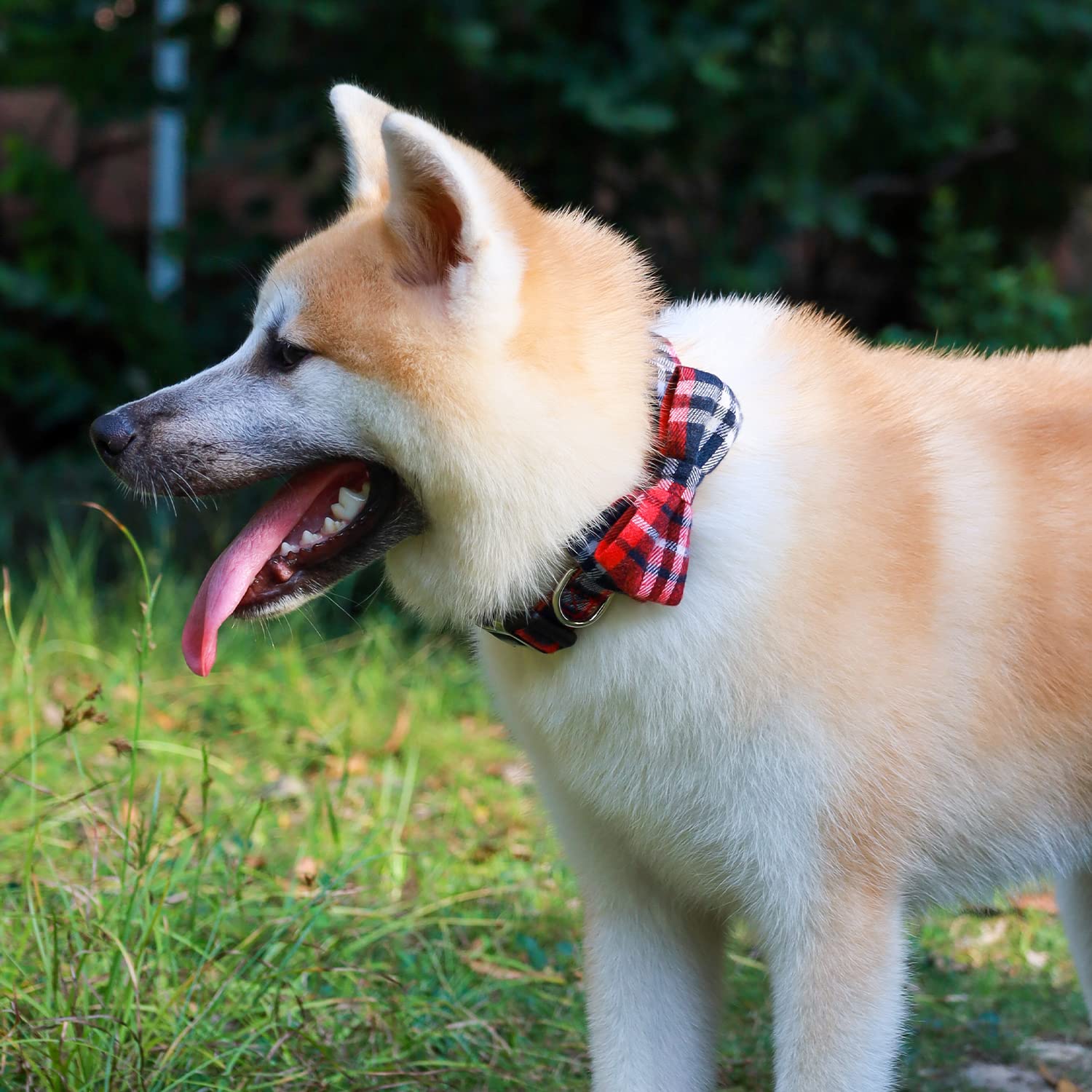 Tejido de algodón de diseño en el collar Faleela.