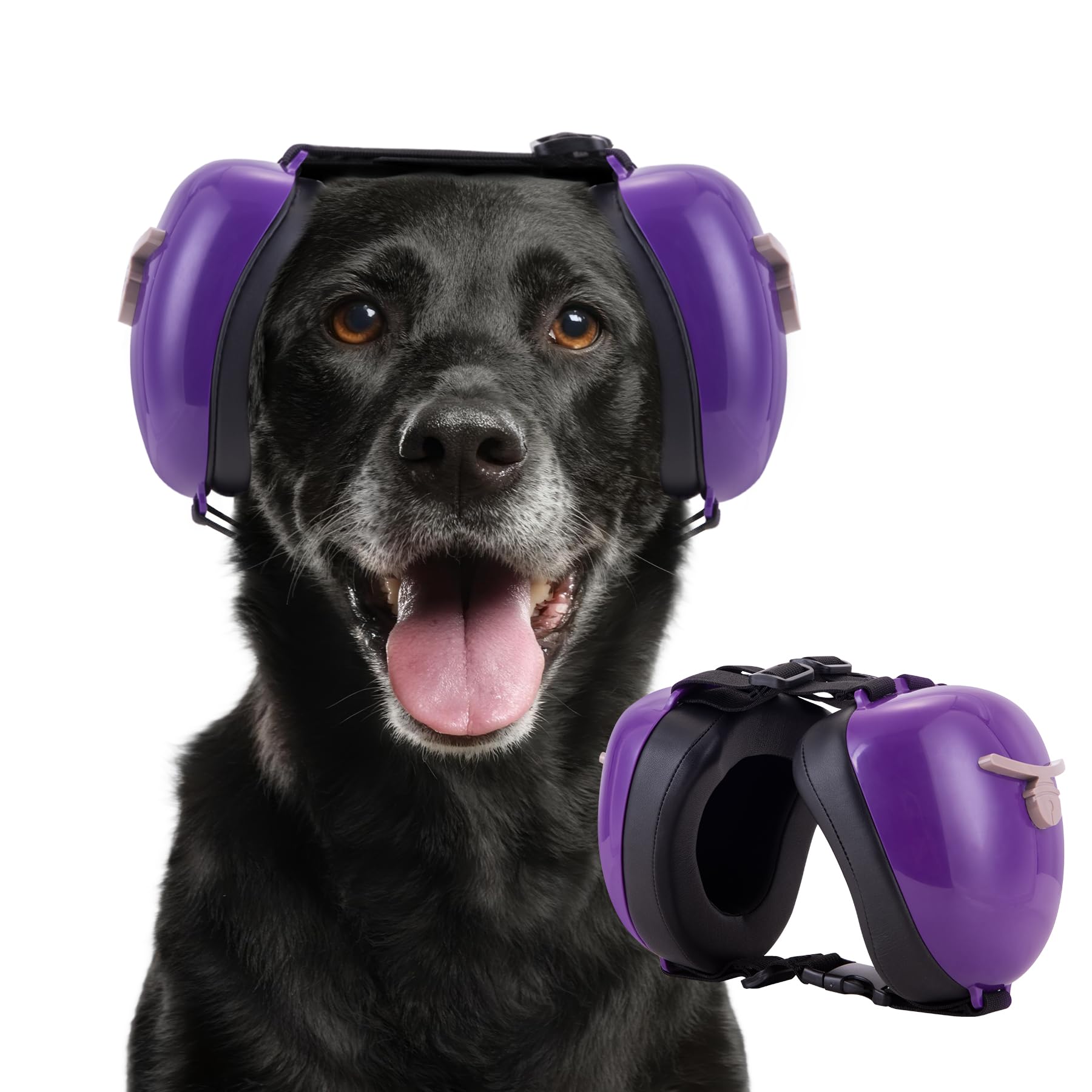 Orejeras para perro Famikako con acento en campana morada para protección contra ruidos.