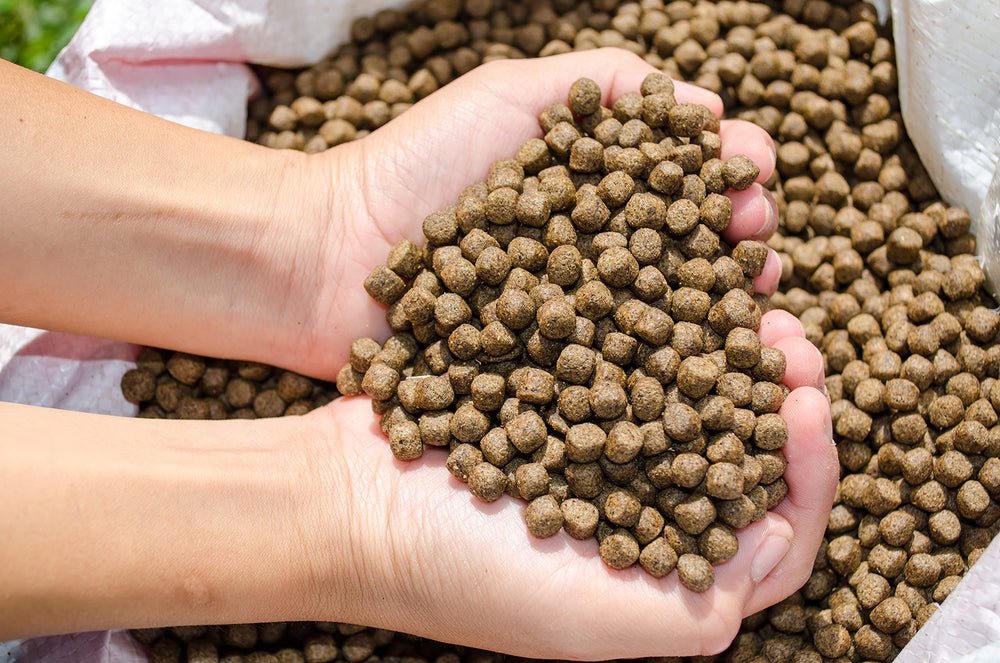 FAMILY FARM AND FEED pellets flotantes, soporte una alimentación estable.