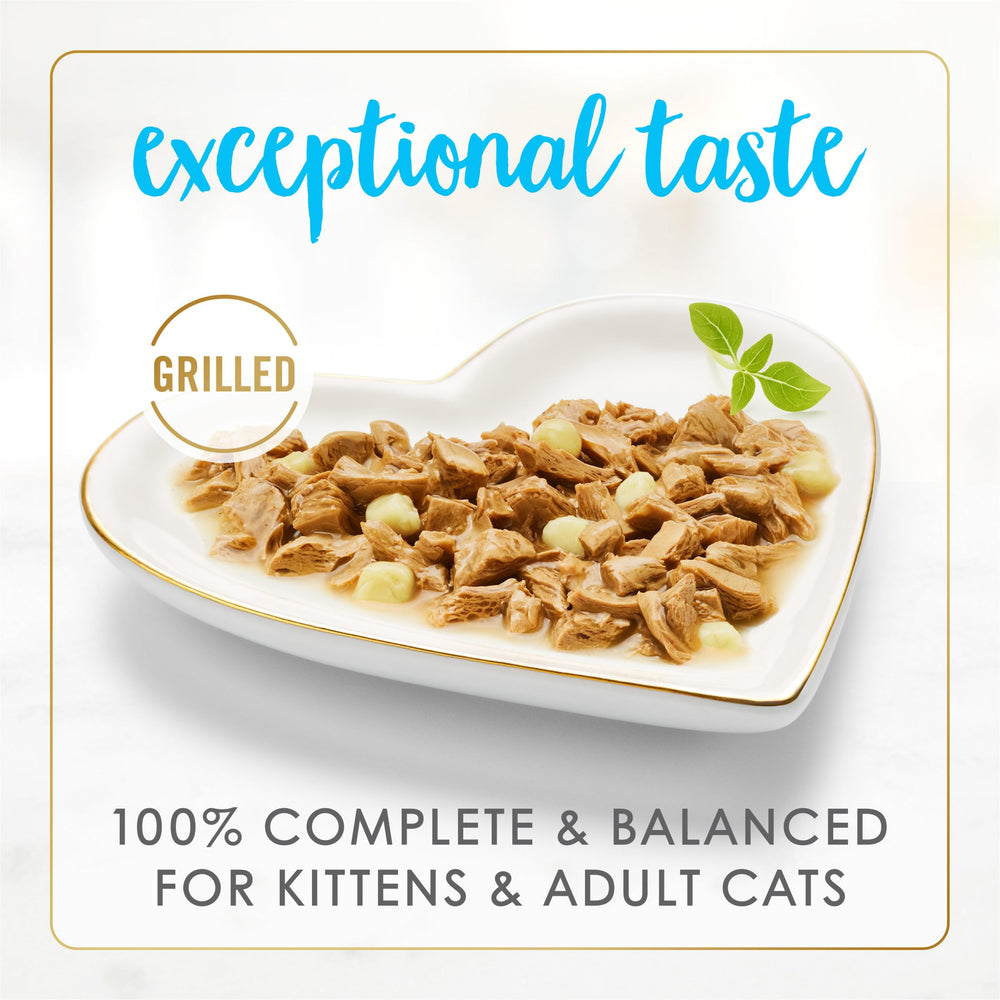 Purina Fancy Feast Delights, gato disfrutando la salsa jugosa de atún