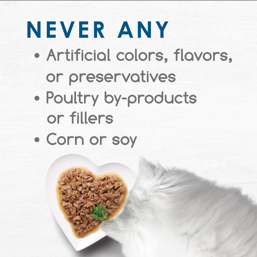Gato prueba atún en salsa Fancy Feast Gourmet Naturals, textura suave.