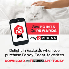 Lata Fancy Feast pavo en salsa, opción sabrosa para variedad diaria.
