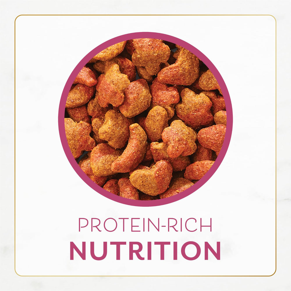 Porciones secas diarias de Fancy Feast para la dieta del gato.