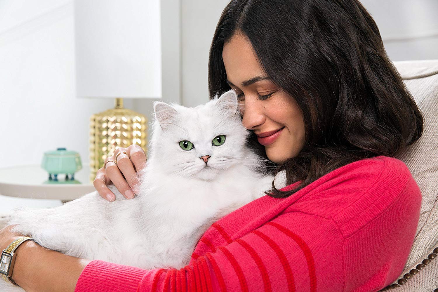 Fancy Feast servir en tazon, presentación práctica para comidas diarias