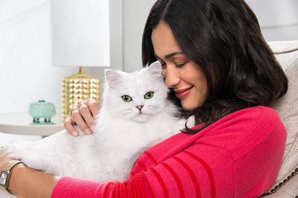 Fancy Feast servir en tazon, presentación práctica para comidas diarias