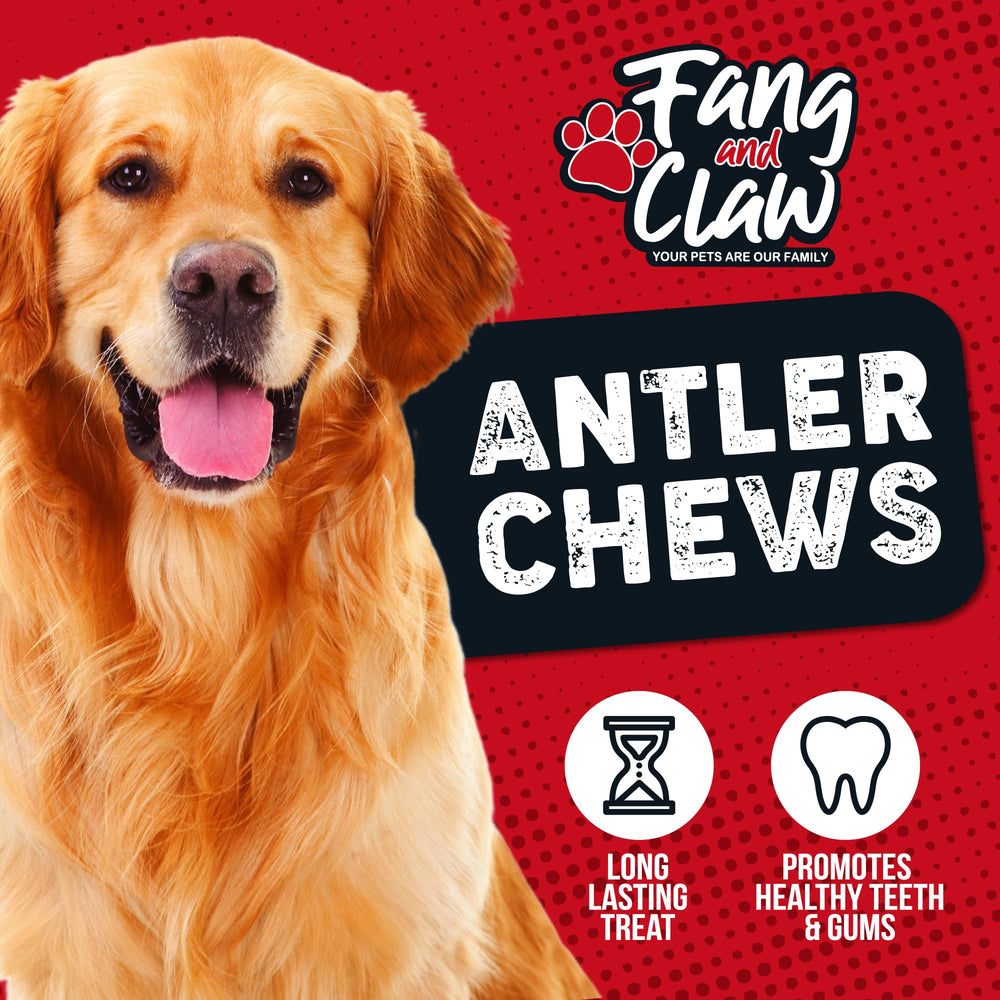 Fang and Claw: diseño práctico para masticación limpia y prolongada