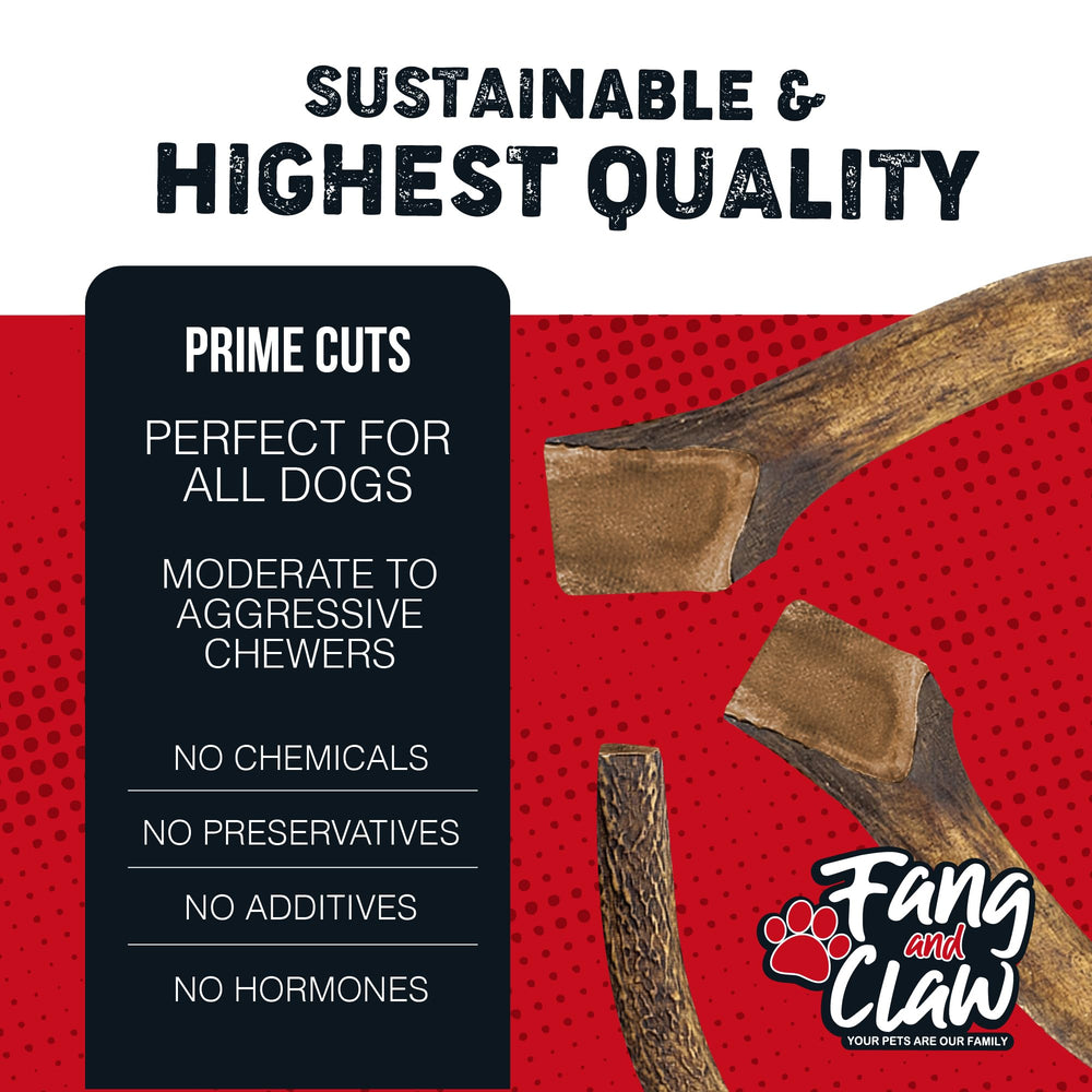 Fang and Claw: masticable duradero para perros agresivos, mantiene ocupados por horas