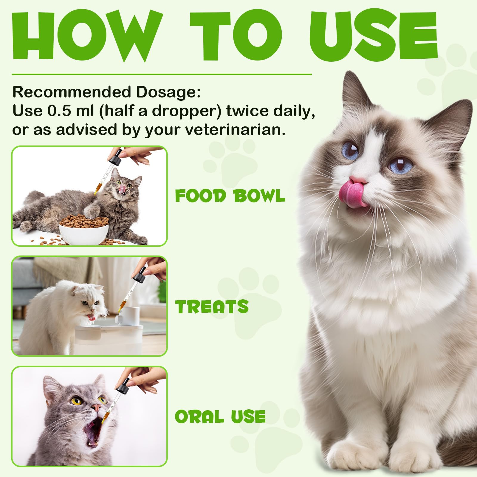 Fangcun salud intestinal en gatos, probióticos para una digestión más suave.