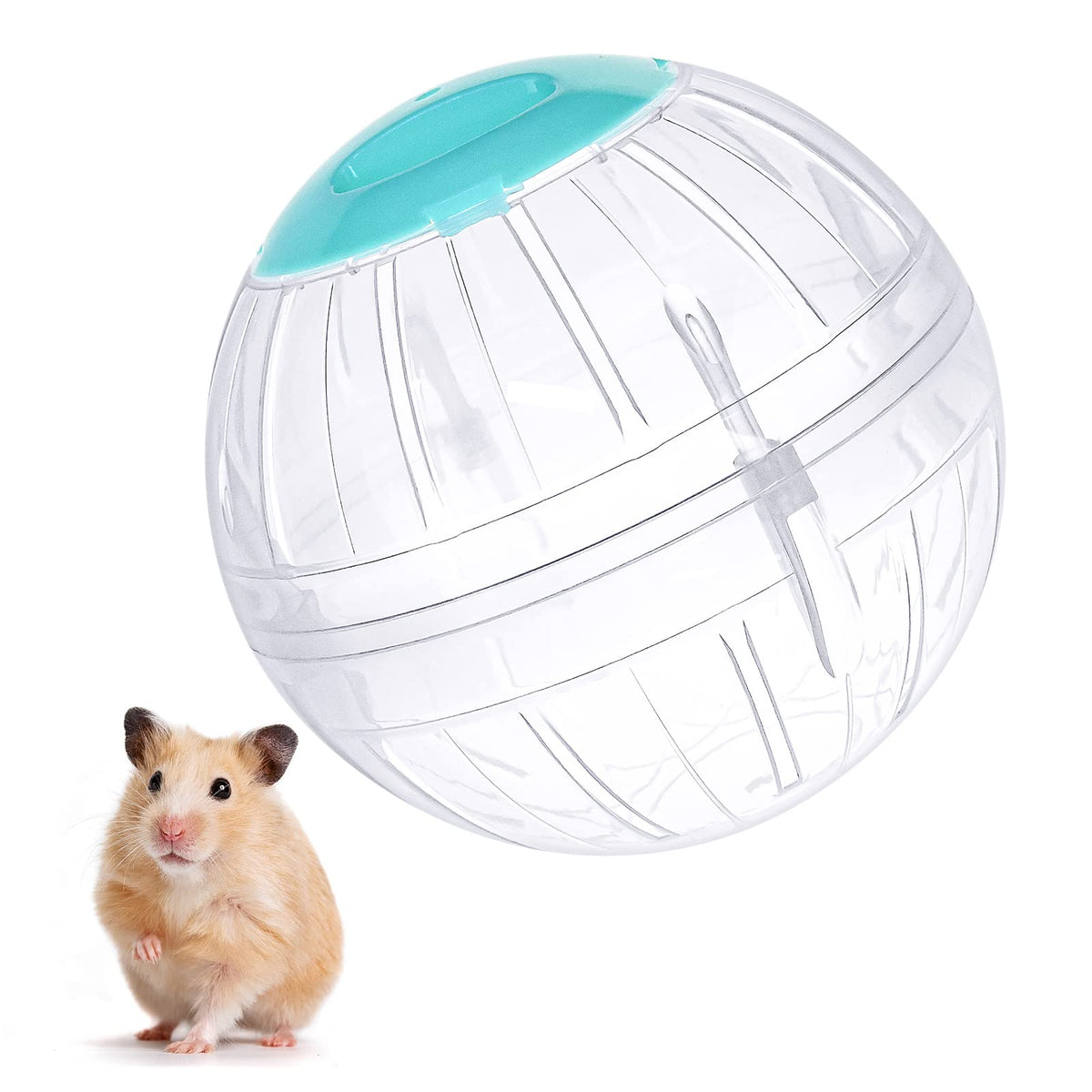 FANKUTOYS Pelota de hámster transparente de 5,7 pulgadas para ejercicio seguro.