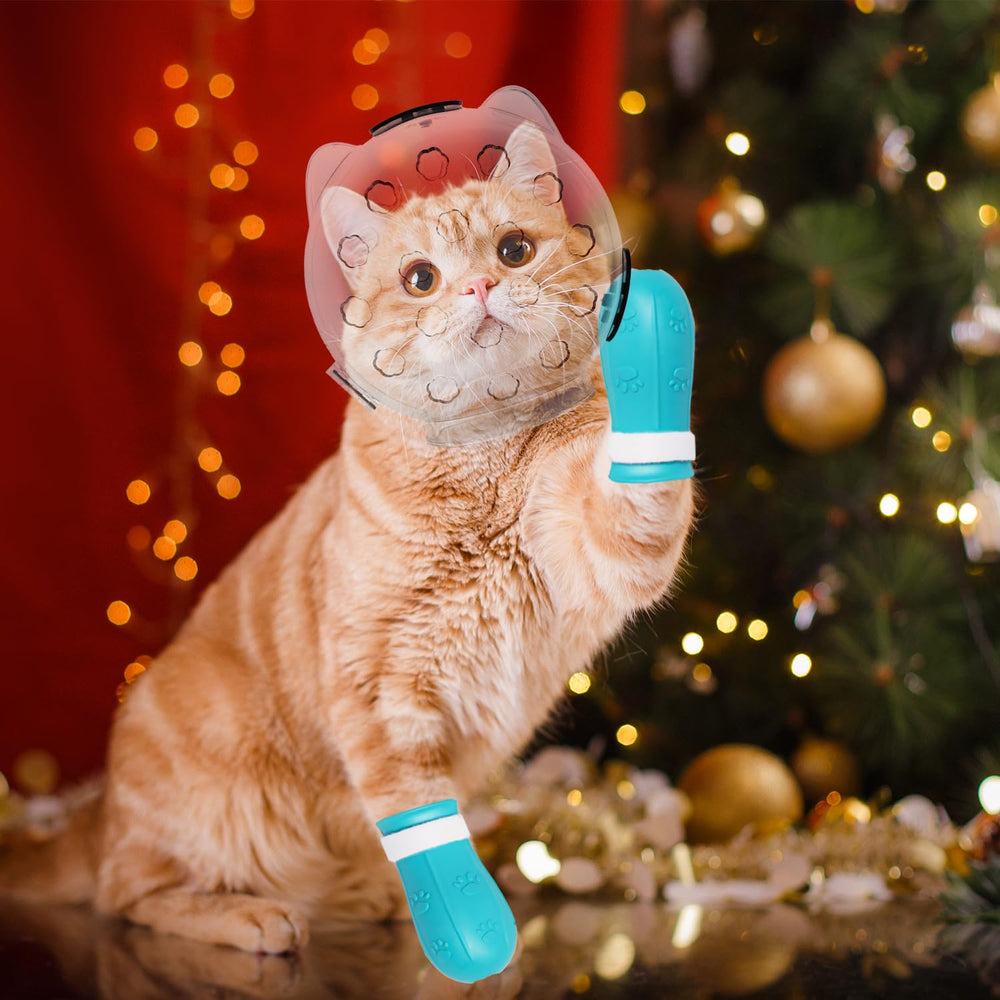Fanme capucha para gatos debe usarse bajo supervisión para seguridad