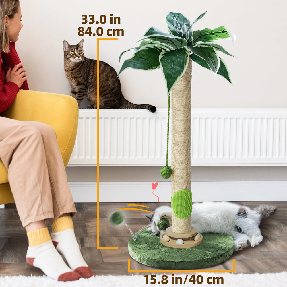 Fantasreen juguete-gato bola interactiva impulsa el juego en casa.
