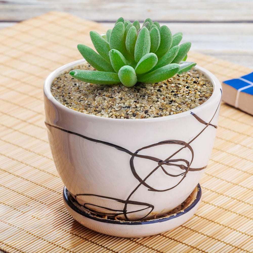 Arena Fantian para vasos, relleno decorativo elegante.