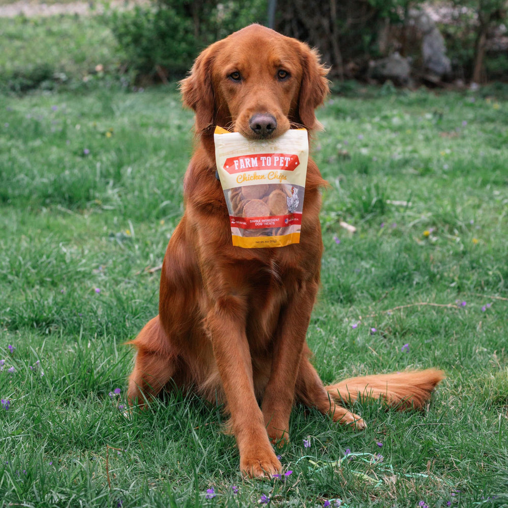 Estomago sensible: snack suave Farm To Pet.