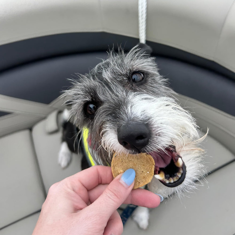 Farm To Pet: ingrediente único sabalo para perros