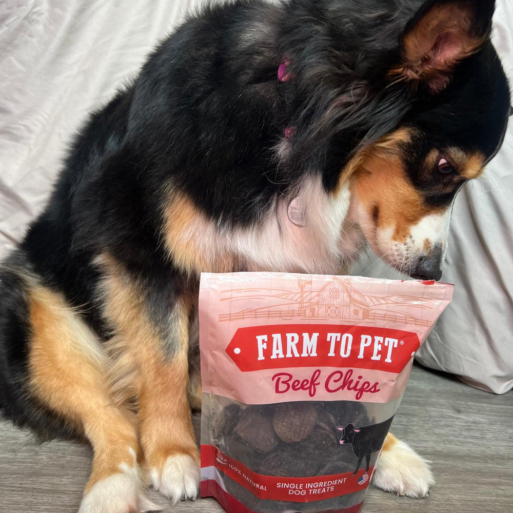Farm To Pet producido en EE. UU., carne de grado humano para perros.