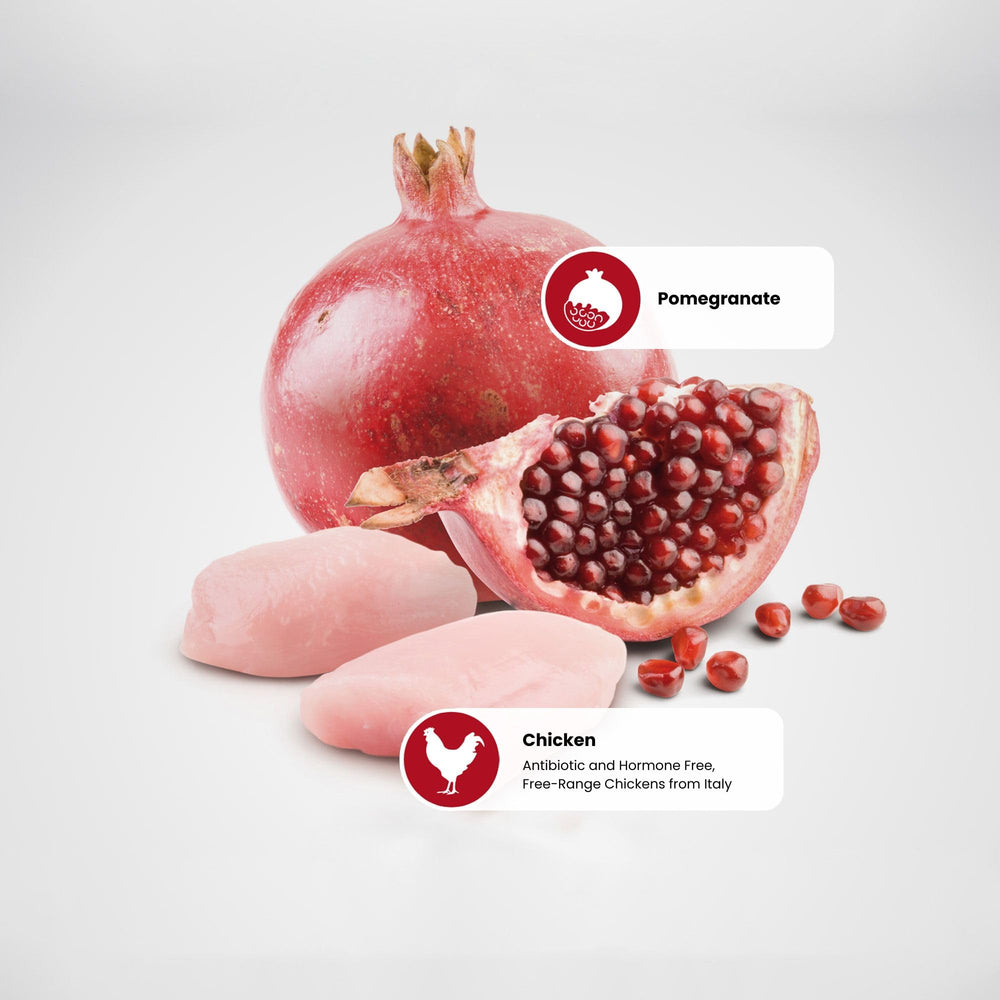 Granada y antioxidantes visibles en Farmina para apoyar la salud general del gato.